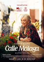 Calle-Malaga_ps_1_jpg_sd-low